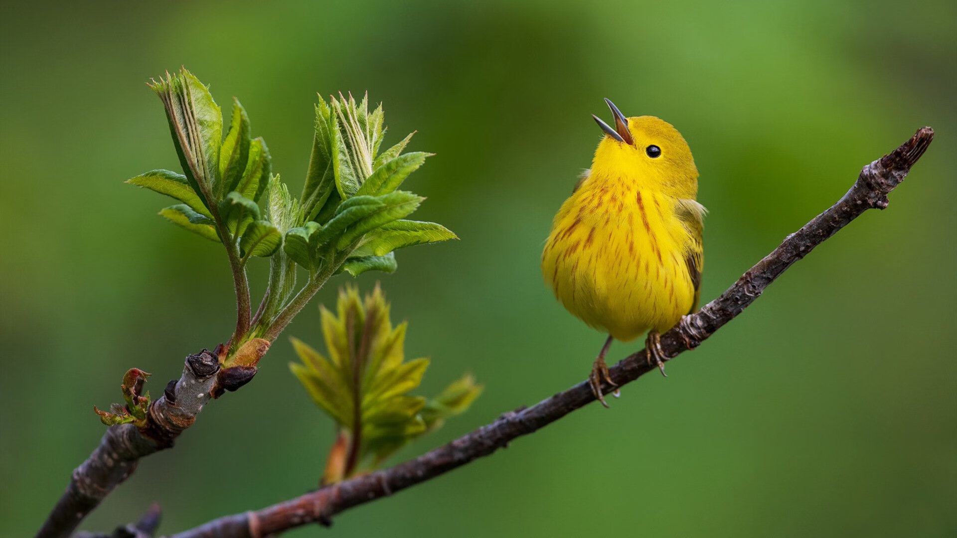 fb体育官网-青少年比赛融入数字科技，创新赛事体验，青少年科技创新大赛含金量蛮高的
