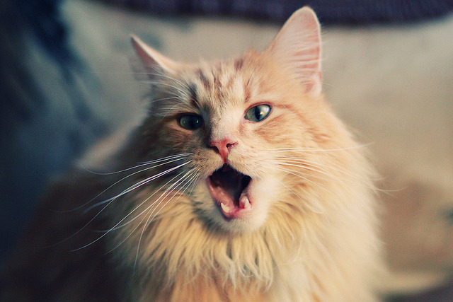 fb体育APP-法国队在大赛中提前出线，晋级赛场为之沸腾，法国队的比赛