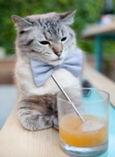 fb体育-葡萄牙体育中场组织能力显著提升，葡萄牙体育的主场