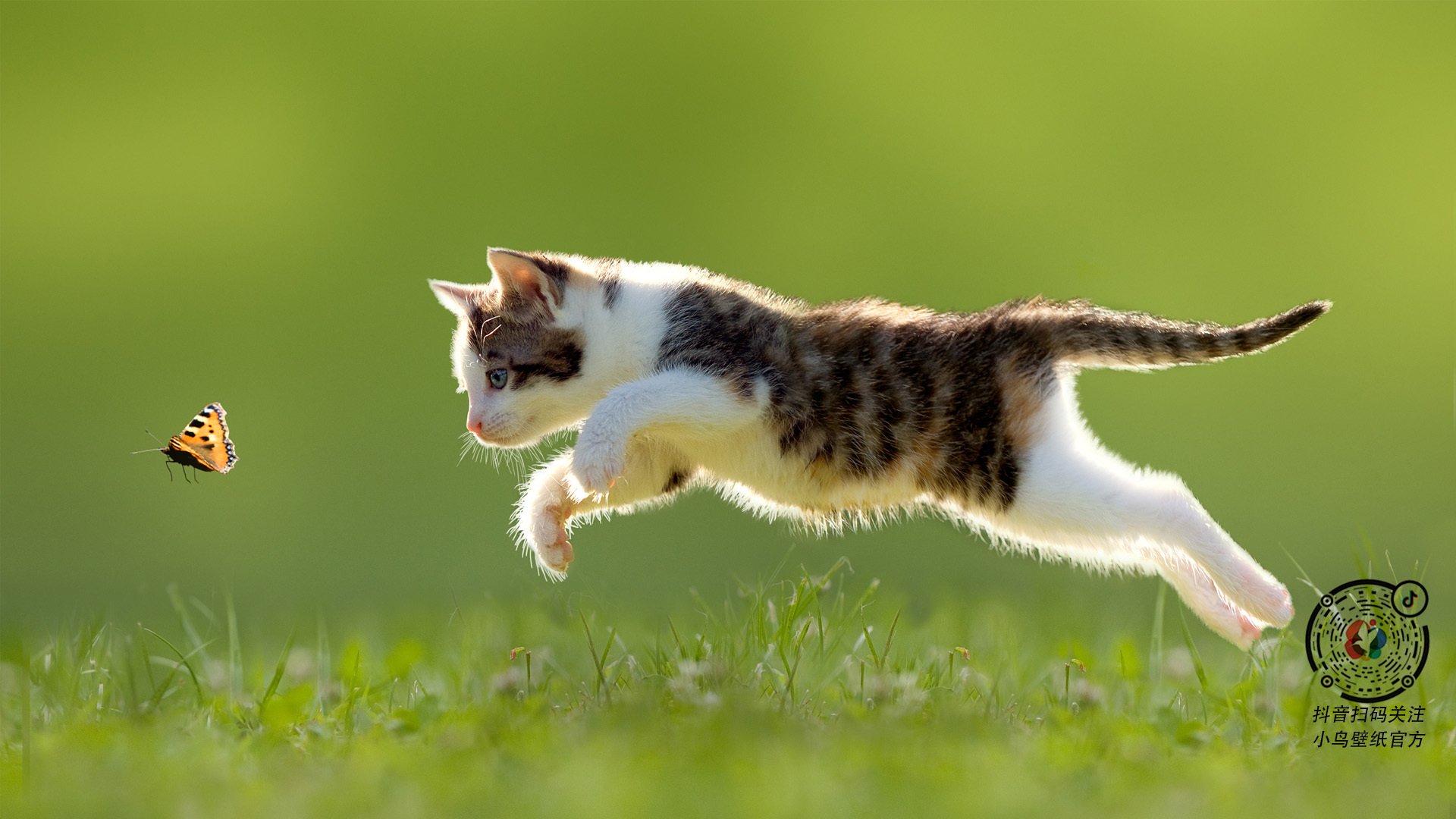 雄鹿比赛中遭遇再犯规，失去比赛，雄鹿的比赛