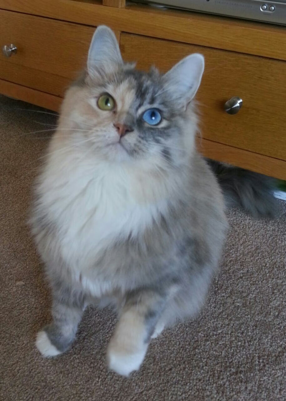 fb体育官网网页版-中超球员年度平均触球次数排行，中超球员的平均年薪