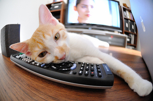 全国青少年长距离跑挑战赛在成都盛大开启，长距离跑基本竞赛规则