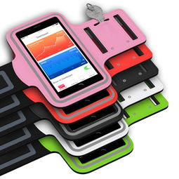 fb体育官网入口-智能体育设备用户行为分析，智能体育设施