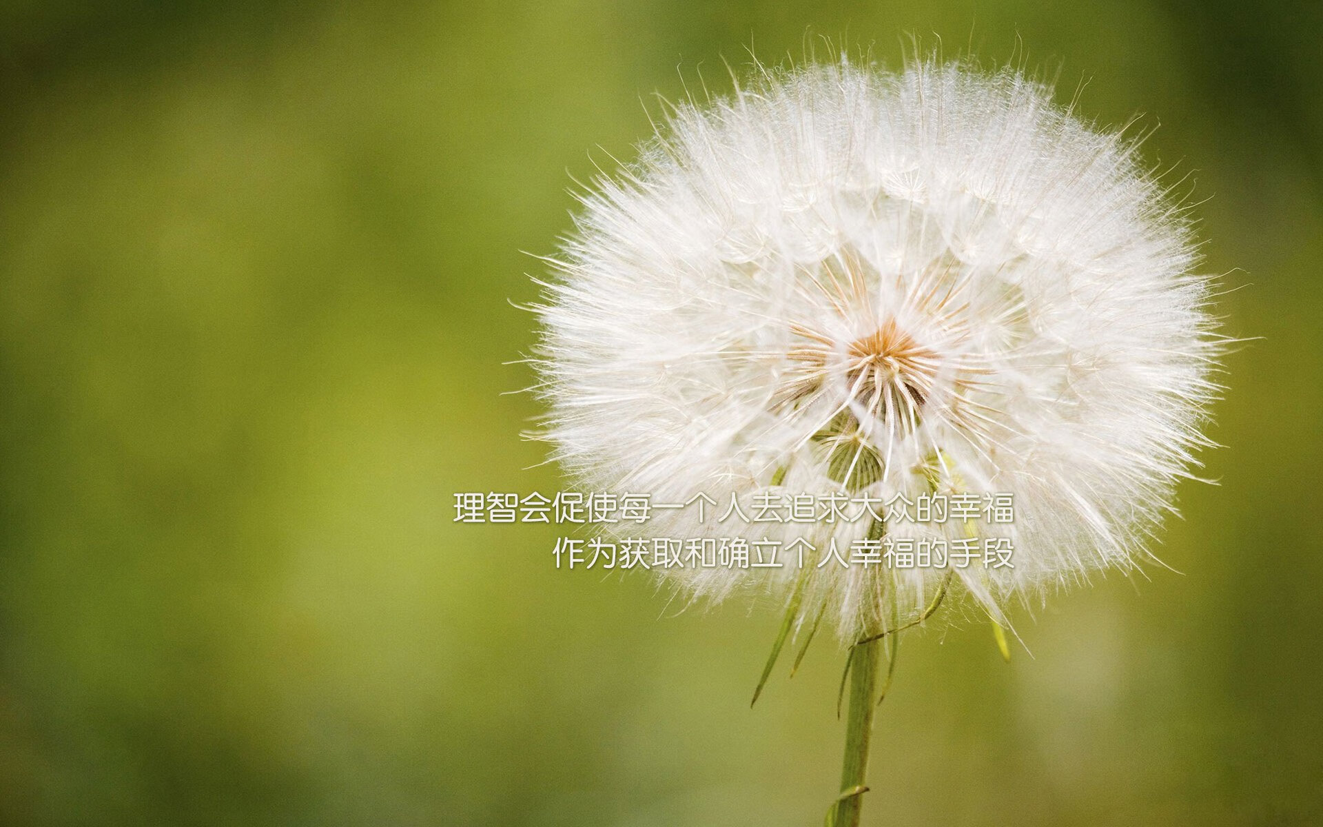 fb体育平台-替补爆发如何激活战术板主动性与比赛节奏