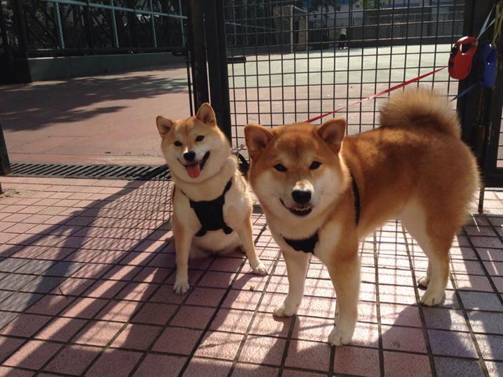 fb体育官网入口-落后局面下球队众志成城完成逆转激励人心，落后两球逆转